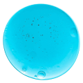 Cica