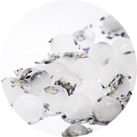 L-Ascorbic Acid