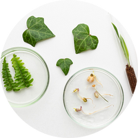 Phytosqualane