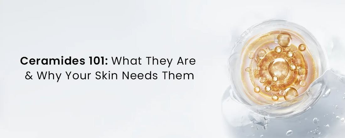 Ceramides 101 What They Are and Why Your Skin Needs Them