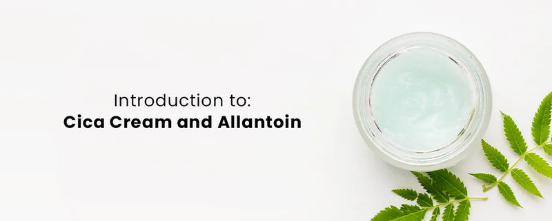 Introduction to Cica Cream and Allantoin: Healing Ingredients for Skin