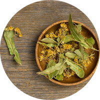 Witch Hazel Extract