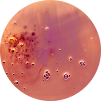 Hylasome EG-10