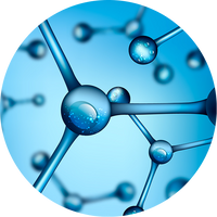 Phytic Acid