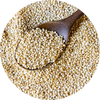 Quinoa