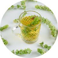 Salix Alba Extract